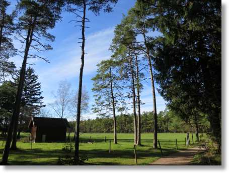 Waldram Naturschutzgebiet