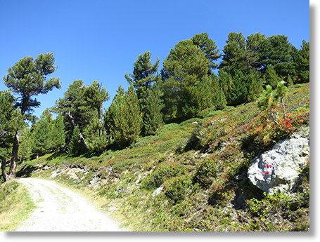 Glungezer Bergstation
